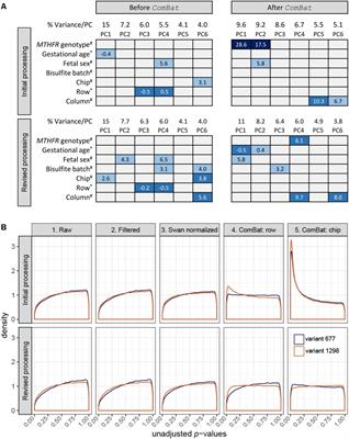 Adjusting for Batch Effects in DNA Methylation Microarray Data, a Lesson Learned